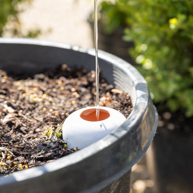 Plant Watering Ball, Terracott - Plant Watering Globe recensione e prezzo