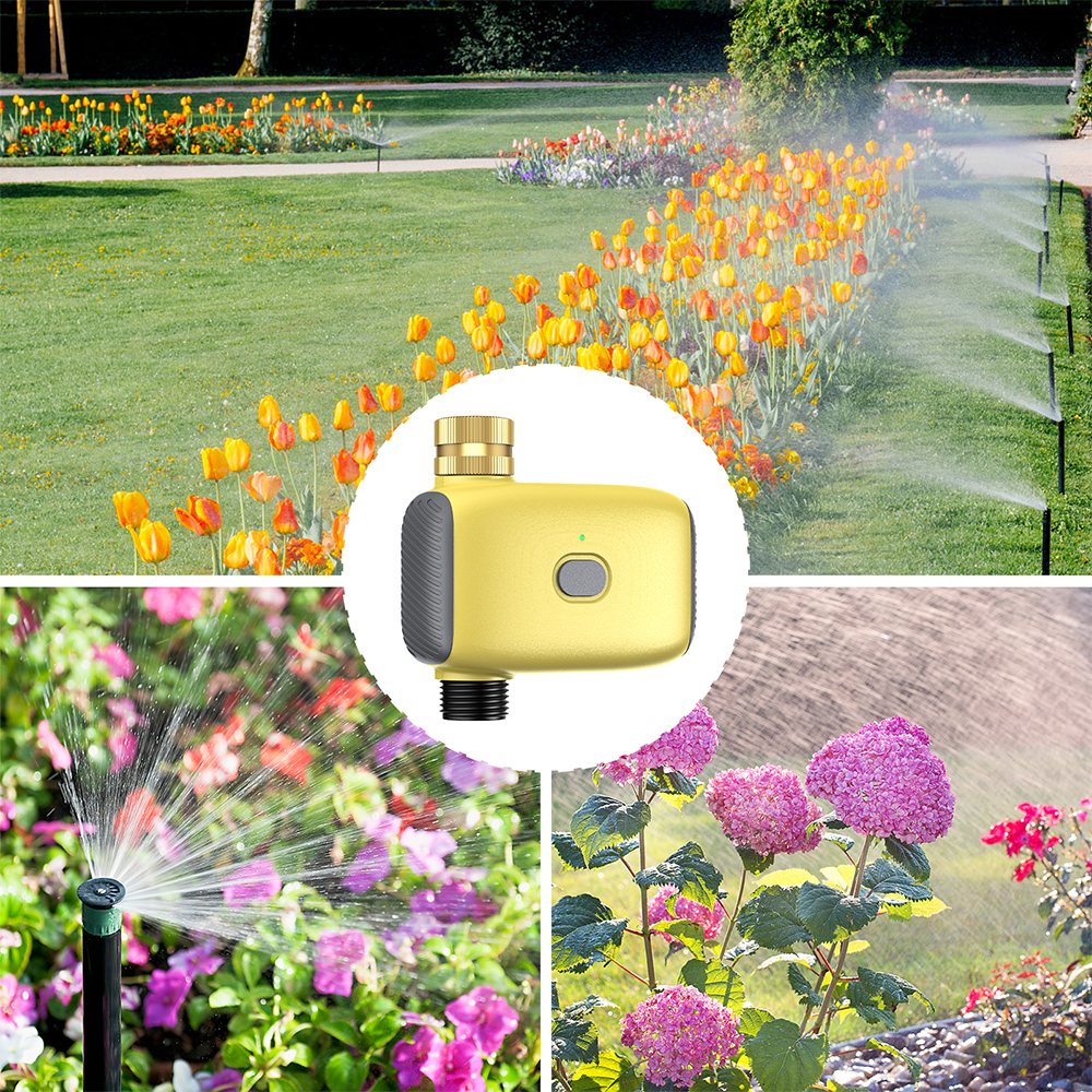 Wholesale Smart Digital  Water - Smart Garden Usa recensione e prezzo