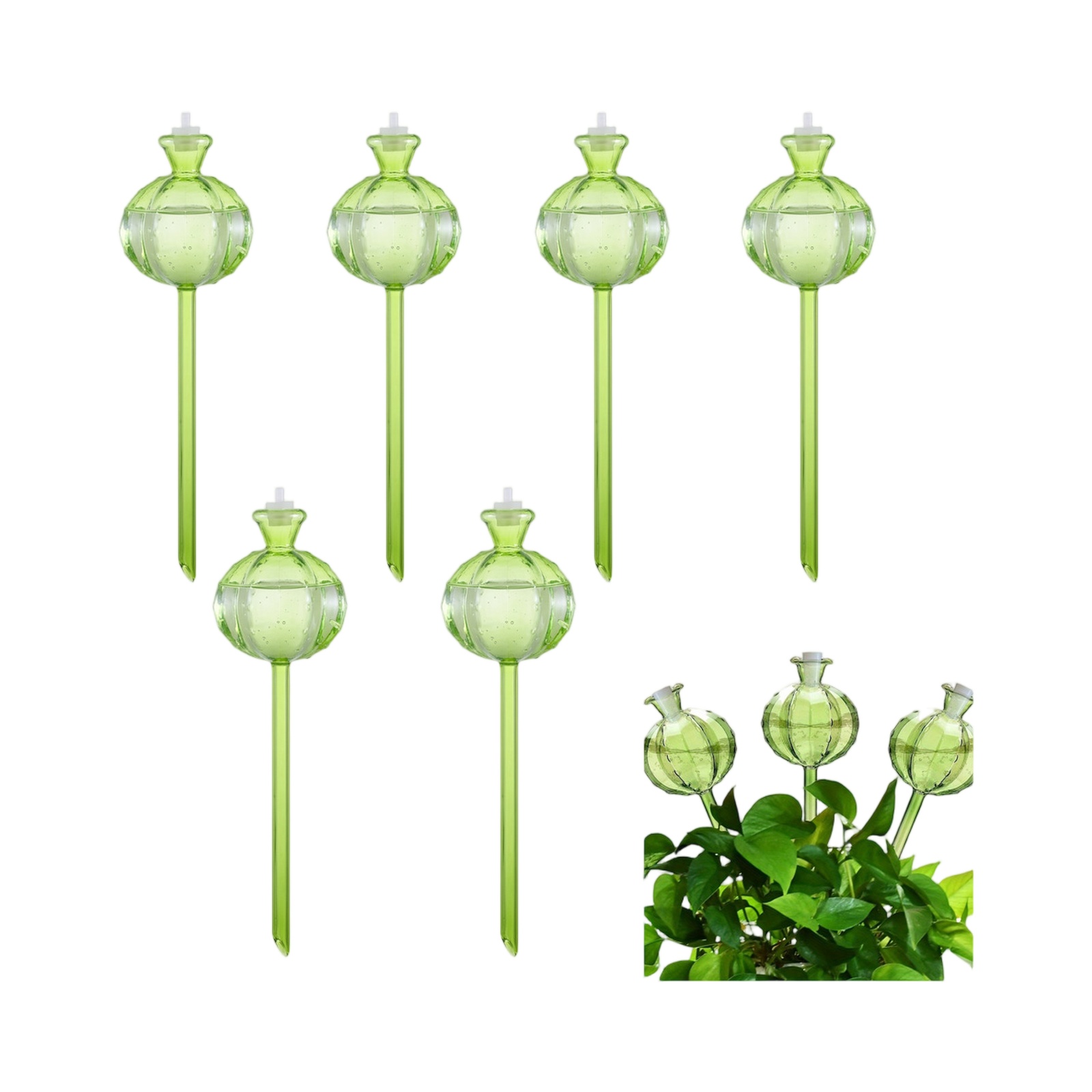 Plant Automatic Drip Water Spi - Plant Watering Globe recensione e prezzo