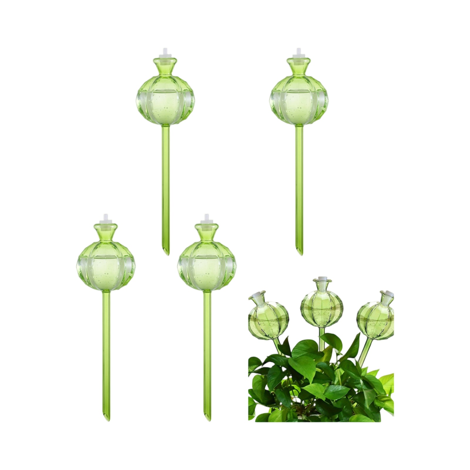 Plant Automatic Drip Water Spi - Plant Watering Globe recensione e prezzo