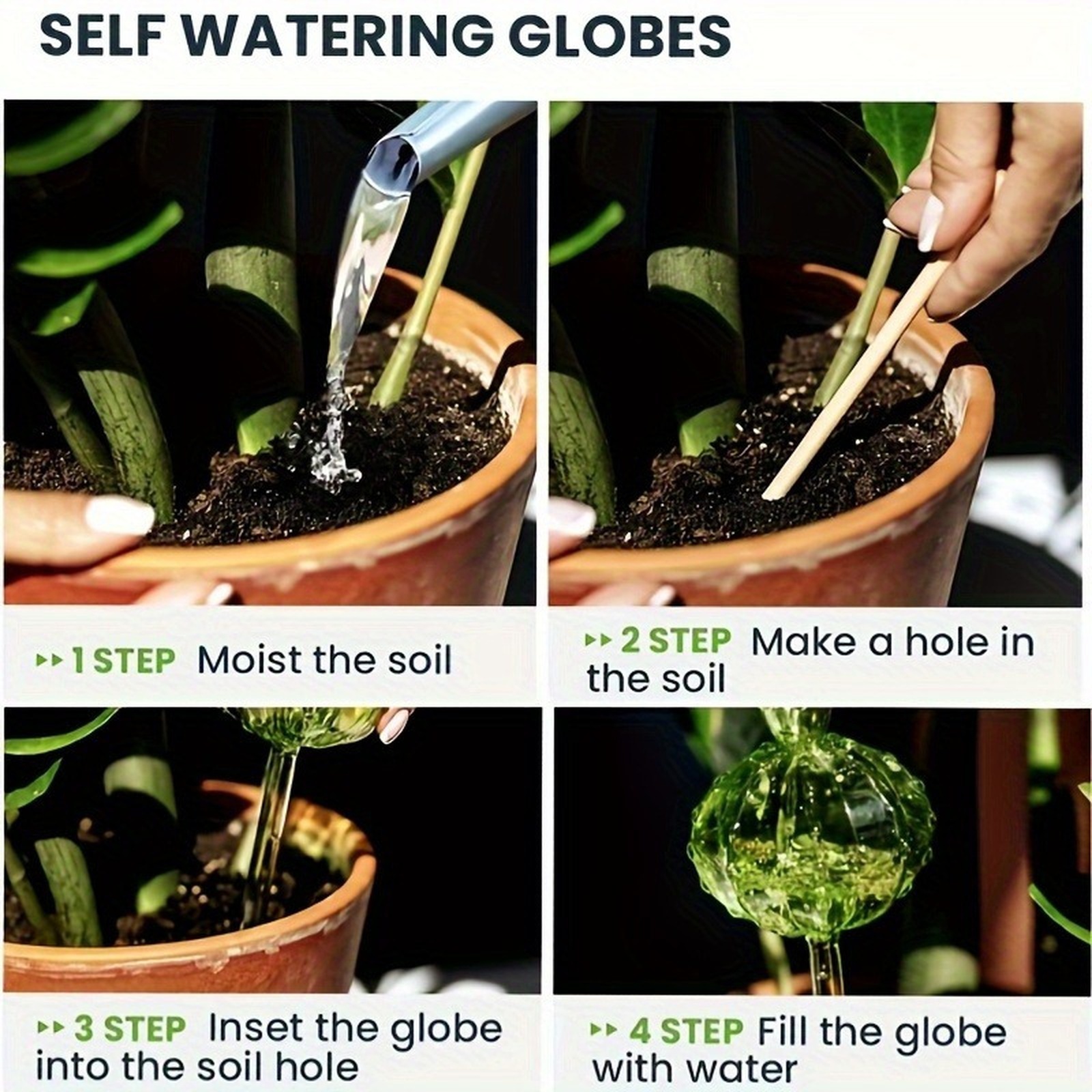 Plant Automatic Drip Water Spi - Plant Watering Globe recensione e prezzo