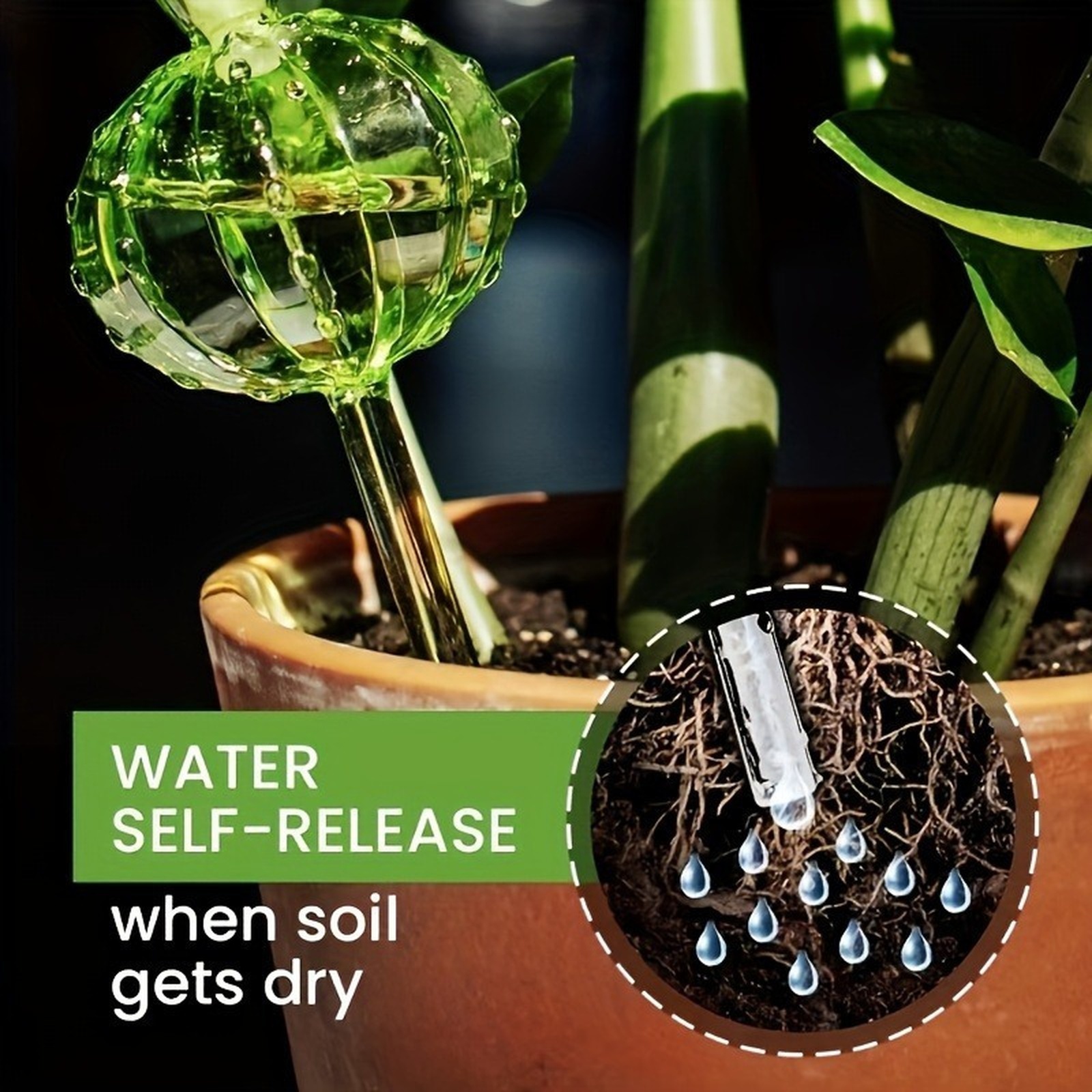 Plant Automatic Drip Water Spi - Plant Watering Globe recensione e prezzo